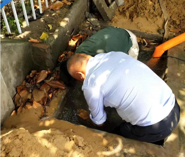 1675906201421827.png 43.png